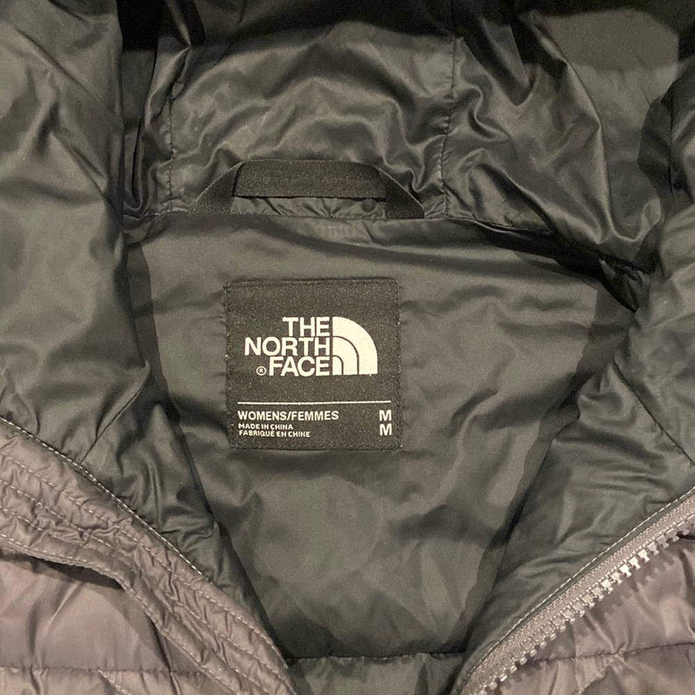 The north face parka